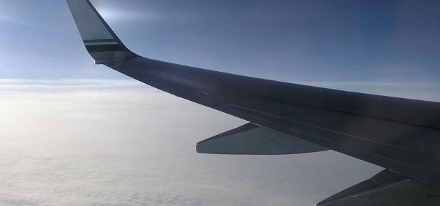 wing